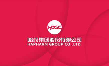 鸿运国际集团探索党建引领新模式 点燃高质量发展“新引擎”