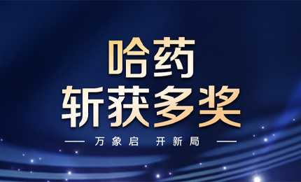 【喜讯】万象启，开新局，鸿运国际斩获多枚奖项