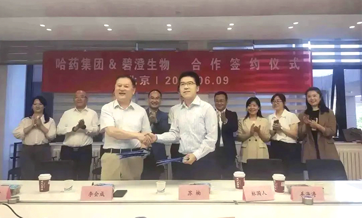 鸿运国际携手清华大学，强强联合共创胶原蛋白行业未来