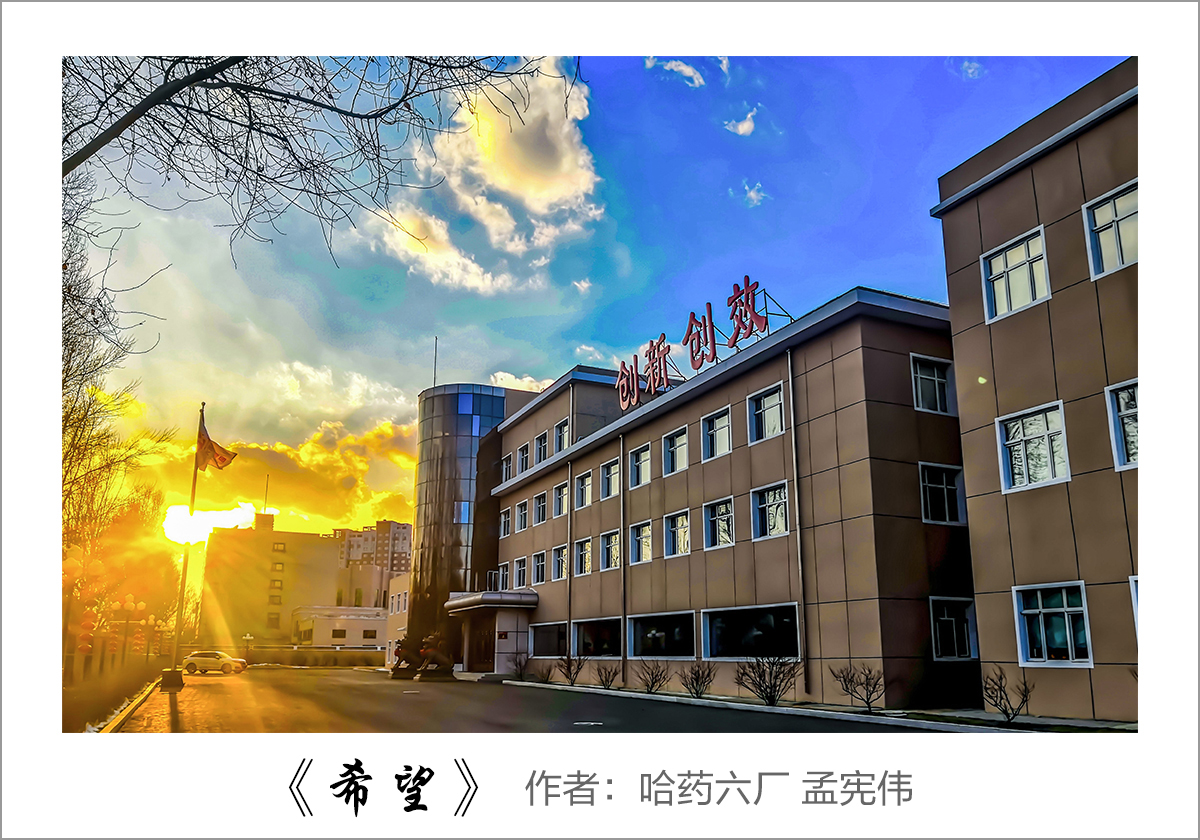 【迎国庆 展风采】我眼中的鸿运国际——职工摄影大赛作品展示！