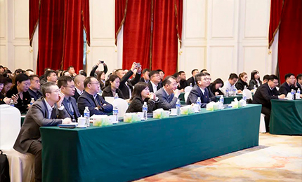 鸿运国际集团党委“书记带项目”工作阶段性进展汇报会成功召开