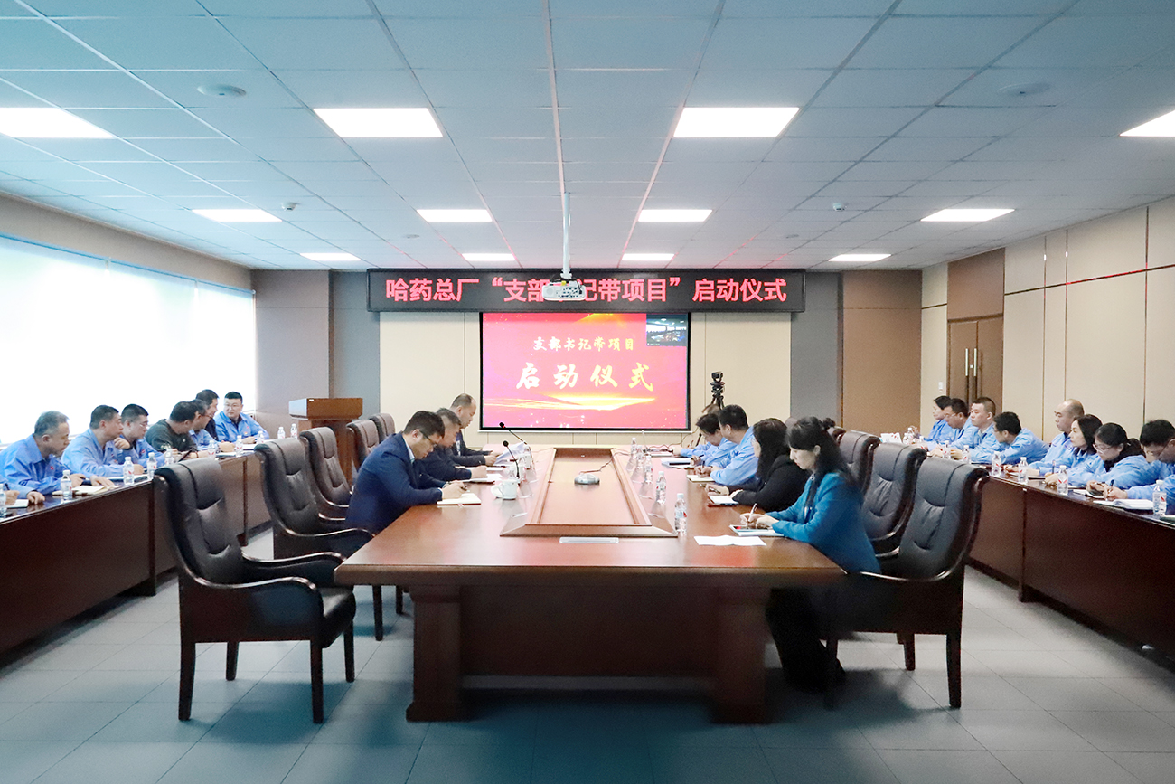 党建领航“加速度” 打造发展“强引擎”——鸿运国际总厂党委召开“支部书记带项目”启动仪式